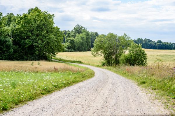 Stone Driveway Repair in Owings Mills