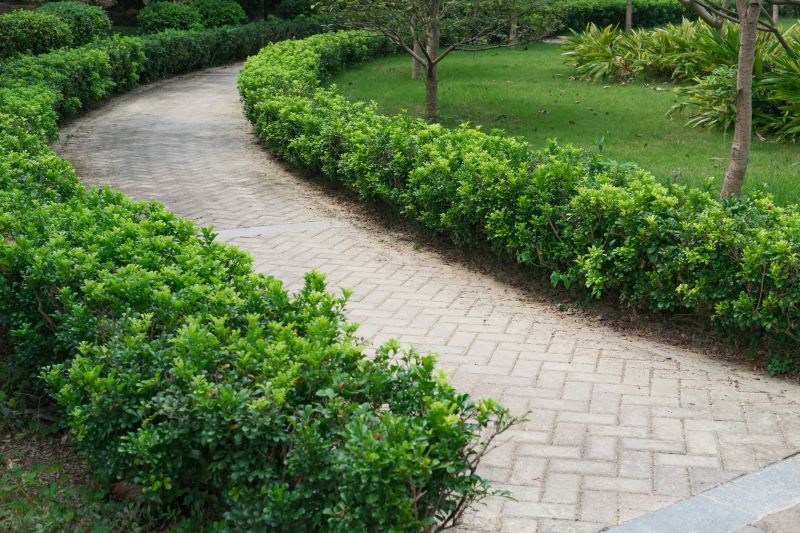 Landscaped Paver Pathway